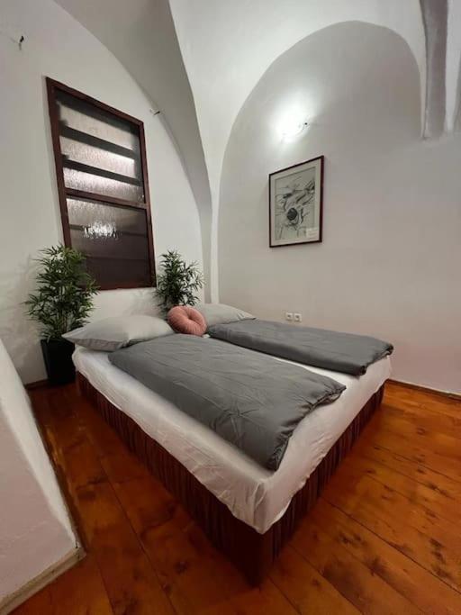 City Center Apartment Banská Bystrica Eksteriør billede